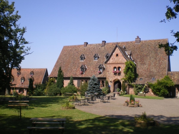 medieval-castle-château-de-hunebourg-in-alsace-grandius-living-3