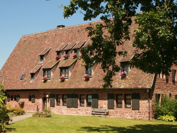 medieval-castle-château-de-hunebourg-in-alsace-grandius-living-5